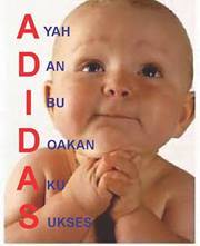 Ane Pemimpi