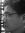 Matthew Ng