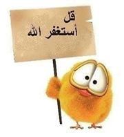 يارب توتا