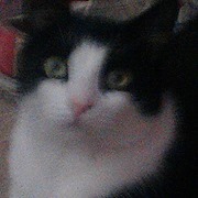 Gladys Va