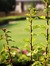 Fatma_a_240505