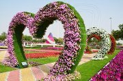 عمر عبدو