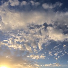 محمد ضرار الرومي