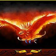 Rajashree Yarlagadda