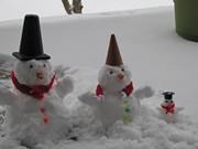 Nagendran Balakrishnan