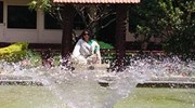 Dini Arun