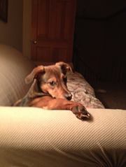 Sara Cunningham miller