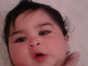 Mohammed Shaboub