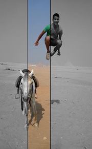 Abdel-rahman Khalid