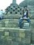 Safwat ...