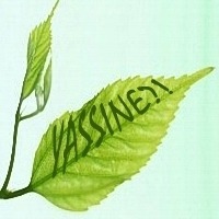 Yassine Mohammed AYACHE