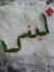 Lubna M
