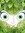 Surami | 9 comments