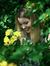 Emilie
