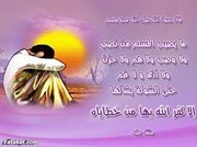 Osama Abdelall