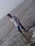 Sandeep...