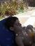 Ahmad M...