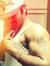 Abhishe...