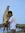 Abdul Hadi