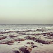 محمد الحقوي