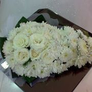 Zeinab Gamal