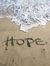 Hope De...