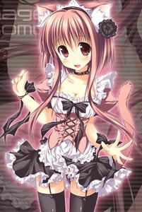 Morgan *~devourer of words~*