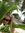 Nicole Howell | 1 comments