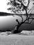 Shivam ...