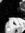 Faustine
