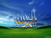 يونس الجزائري