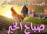 اسلامنا عزنا