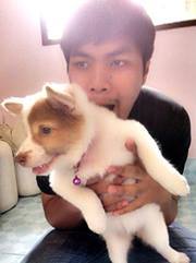 Peerapon Suwanpradit