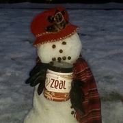 Shannon Mead-sampson