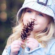 زهرة الأوركيد