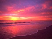 طالب أبو حمزة