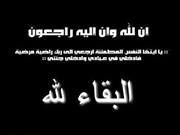 Tamer Elmeligy