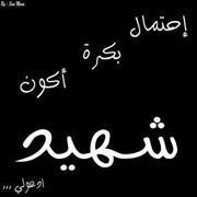 Ayman Amr
