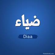 Diaa Mohammed