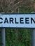 Carleen...