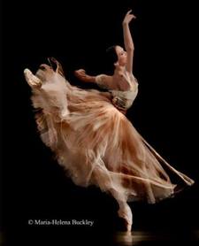 نملة منعكشه