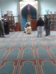 Muhammad Abdulbaseer