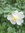 Andrea Willers | 54 comments