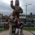 Catherine Dolan