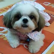 Kamal சரவணன்