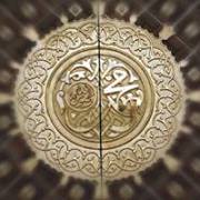 Muhammad Shahzad ansari