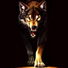 Wolf