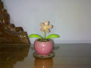 رانيا شمس الدين