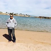 السينارست محمد عفيفى