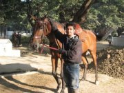 Harshal Shete
